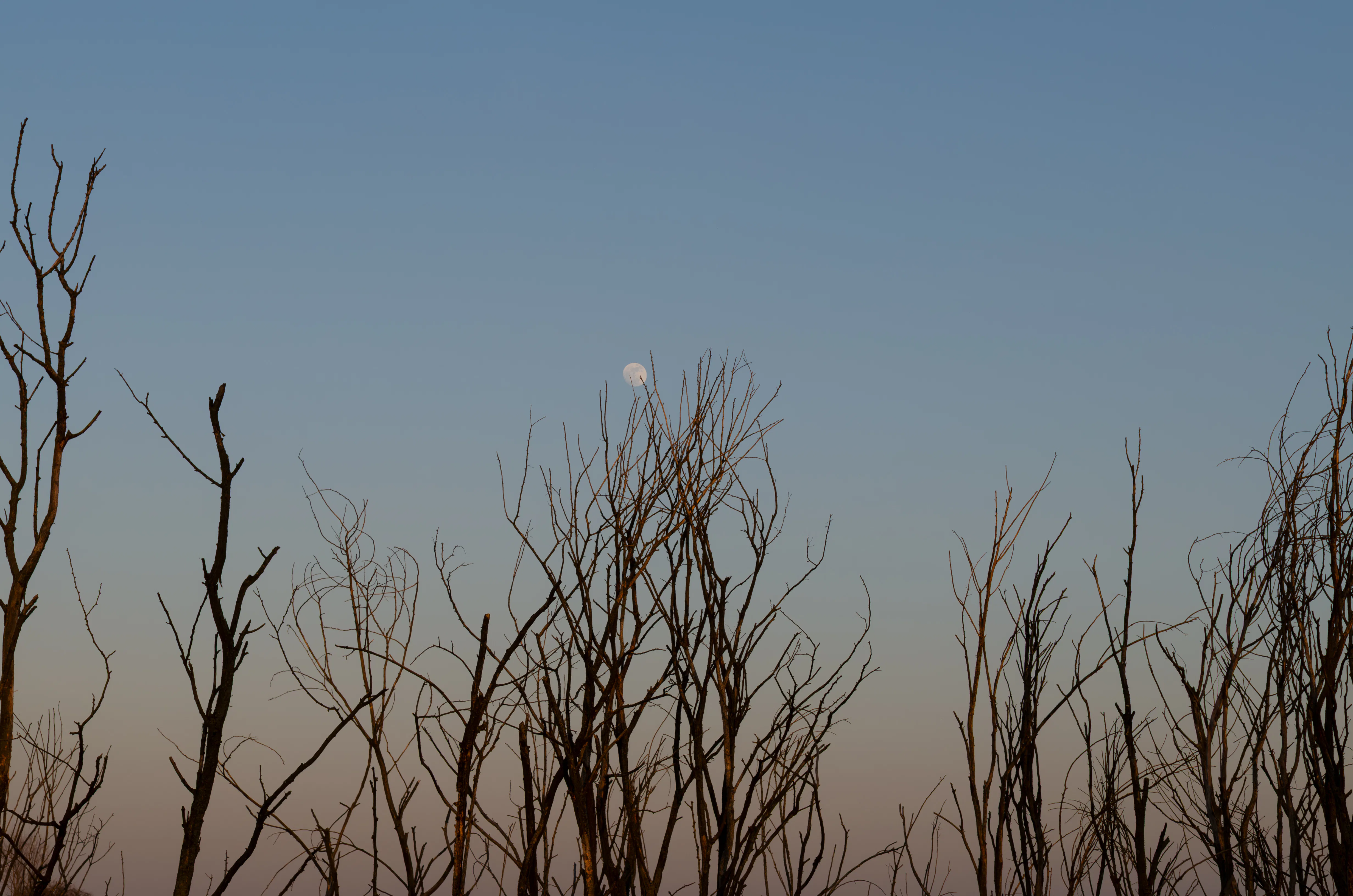 The sept. 26, 2026's full moon and its meaning