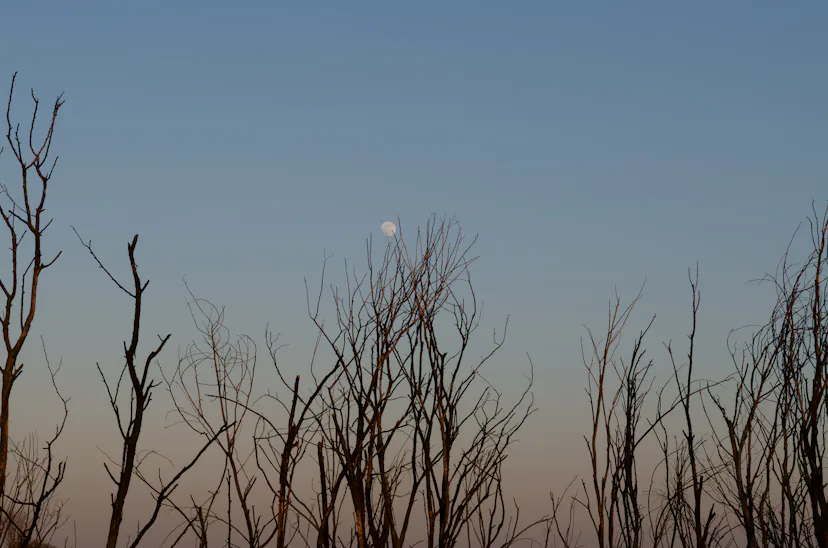 The sept. 26, 2026's full moon and its meaning