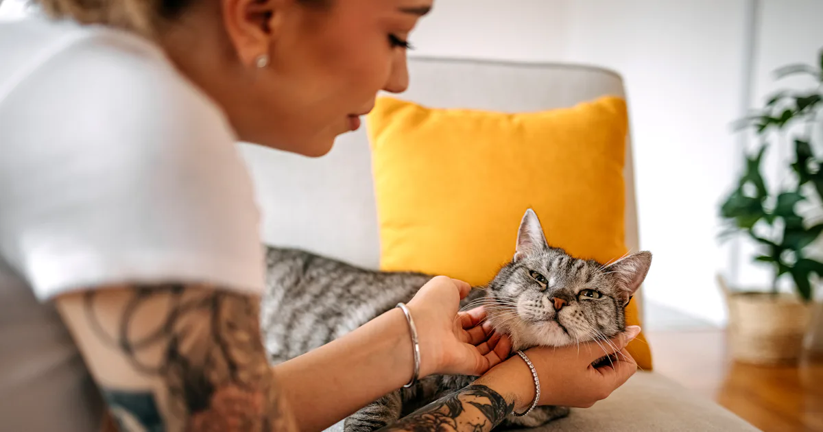 Why Is My Cat Drooling Suddenly? Vets Say It Could Be An Emergency
