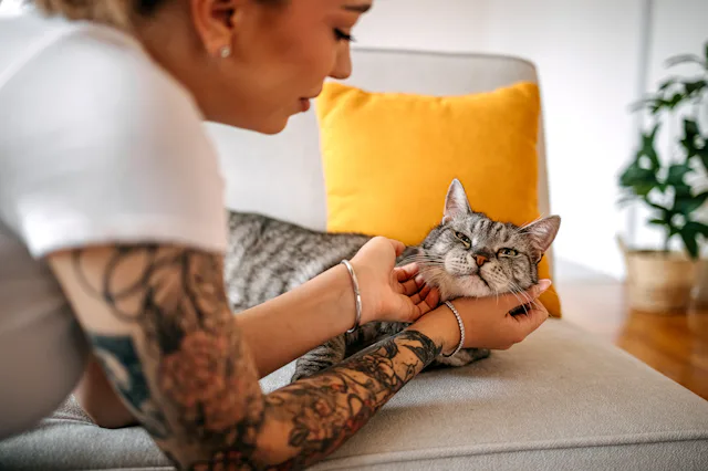 Young woman petting and showing love to her cat at home