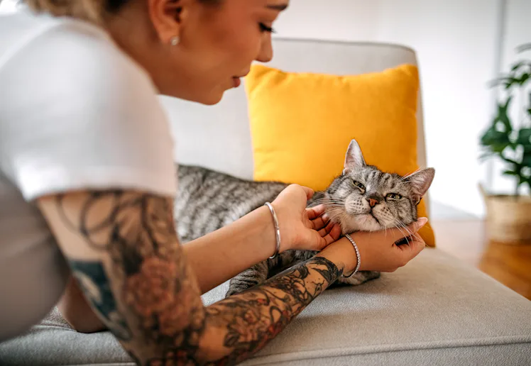 Young woman petting and showing love to her cat at home