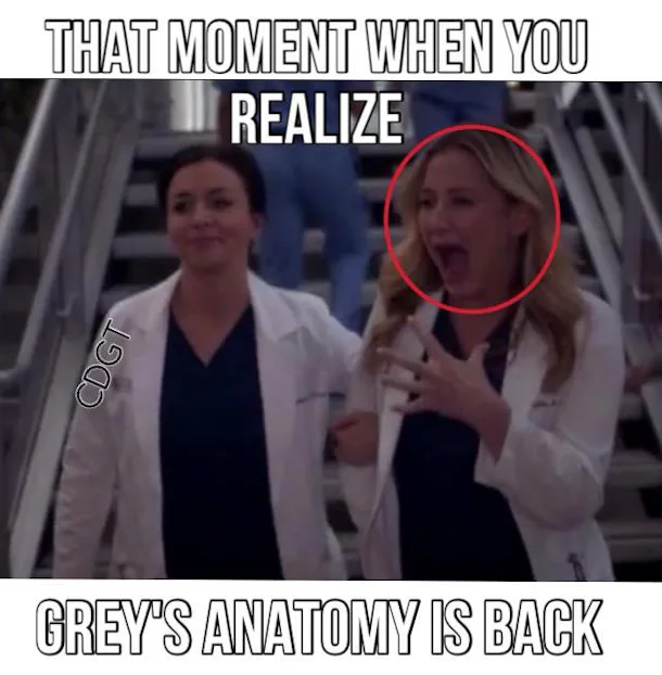9 Grey S Anatomy Memes Only You Your Person Will Understand