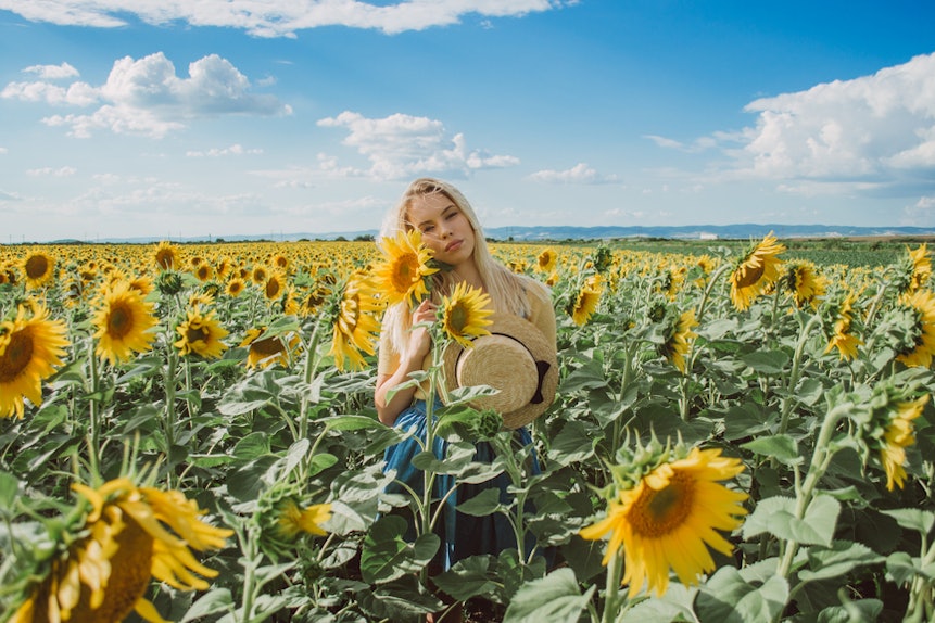 6 Best Sunflower Fields Across The Country To Travel To For The Perfect Gram