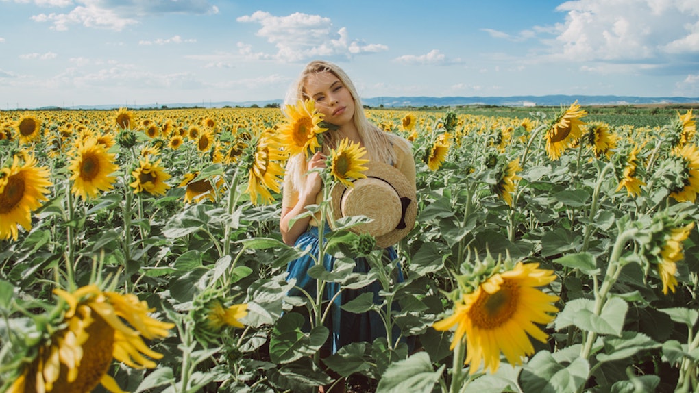 6 Best Sunflower Fields Across The Country To Travel To For The