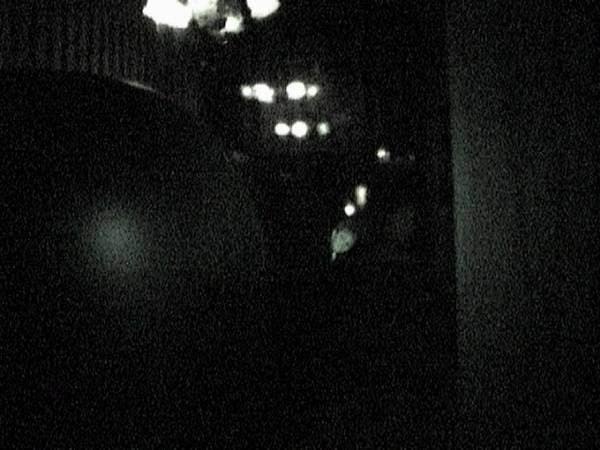 9 Ghosts That Reportedly Haunt Disney Parks, From Urban Legends To