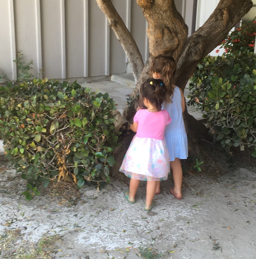 Two little girls standing in a garden next to a tree.