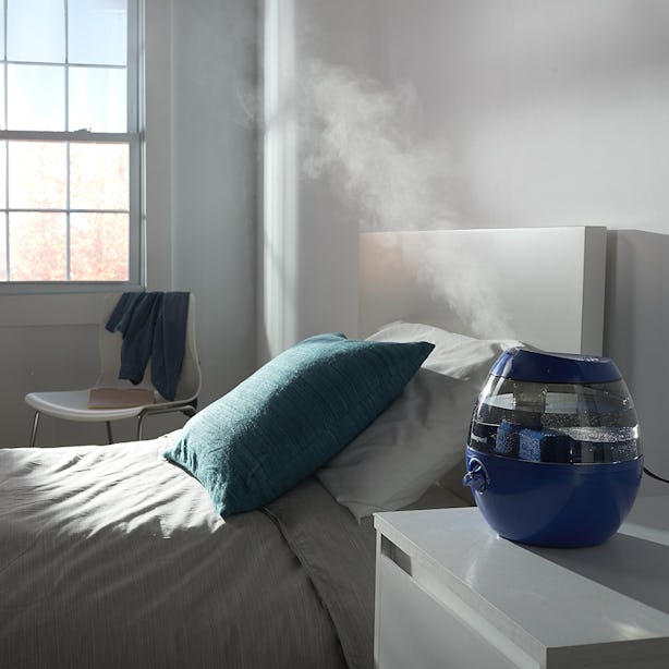 The 6 Best Humidifiers