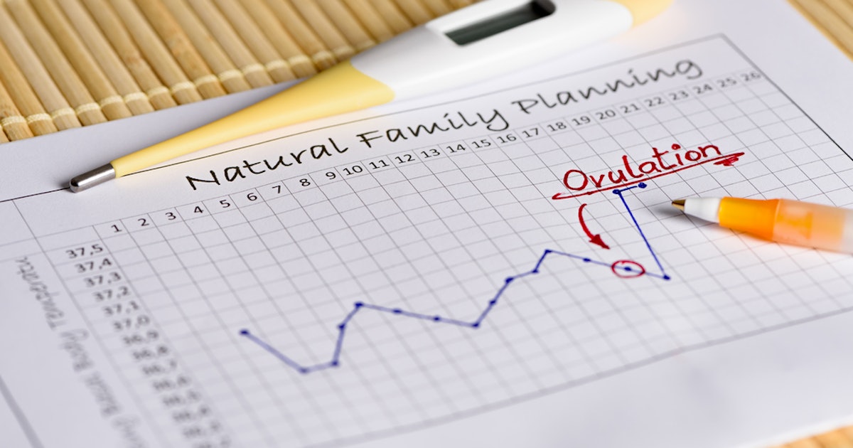 Does Your Bbt Stay High When You Re Pregnant Experts Explain