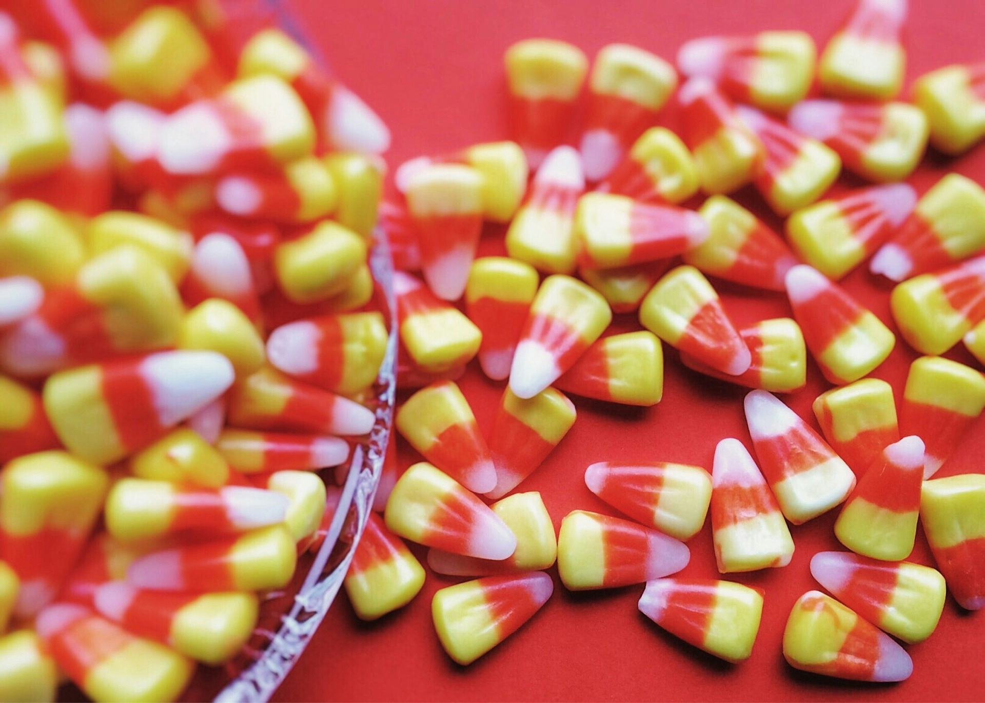 Can we make Halloween more Halloweenie? Halloween Forum