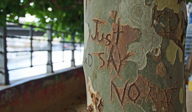 An image of a tree with engraved text saying "Just say no"