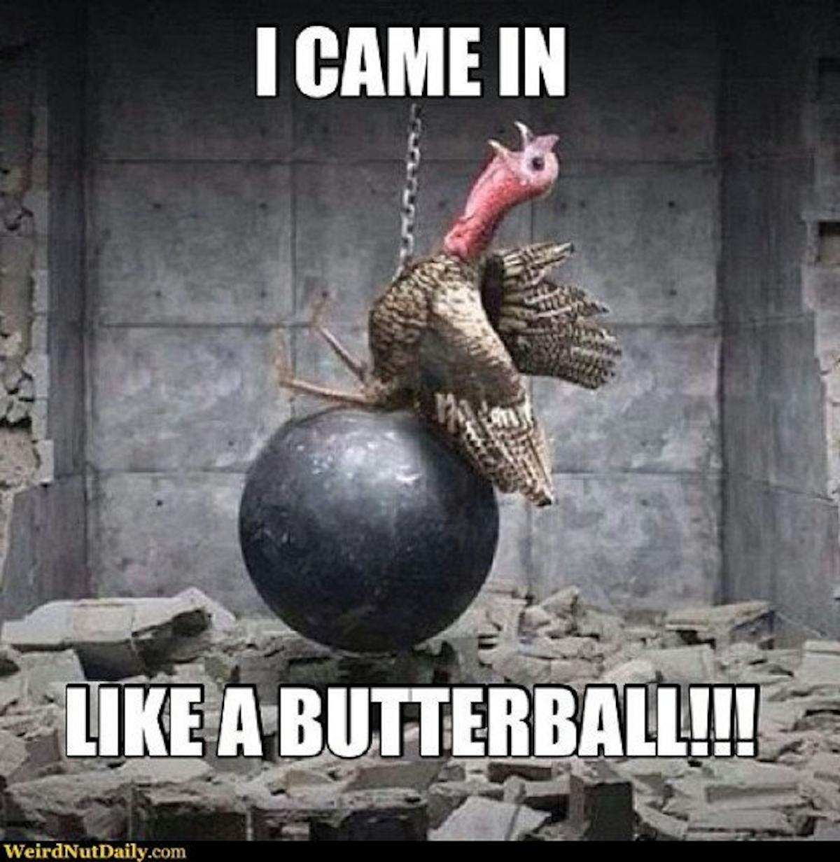 10 Funny Thanksgiving Memes That Truly Capture All Of Our Feels For The Holiday 10 Funny Thanksgiving Memes That Truly Capture All Of Our Feels For The Holiday