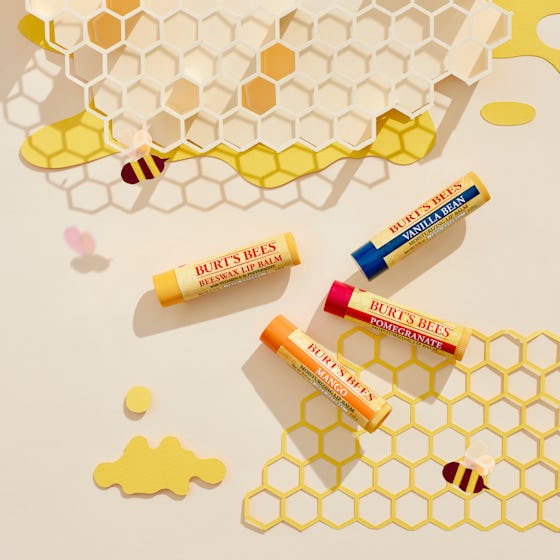 Burt Bees Beeswax Bounty Assorted Mix