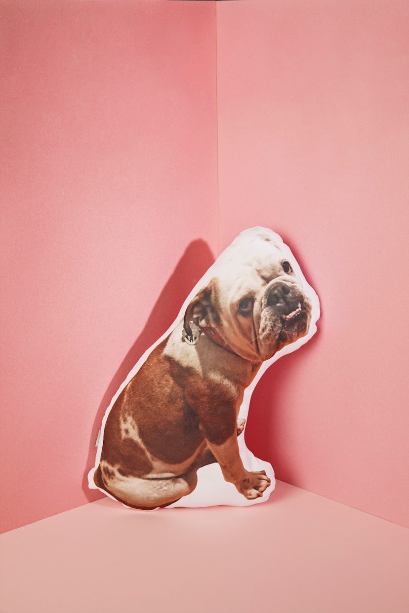 Aure's Custom Pet Photo Pillow