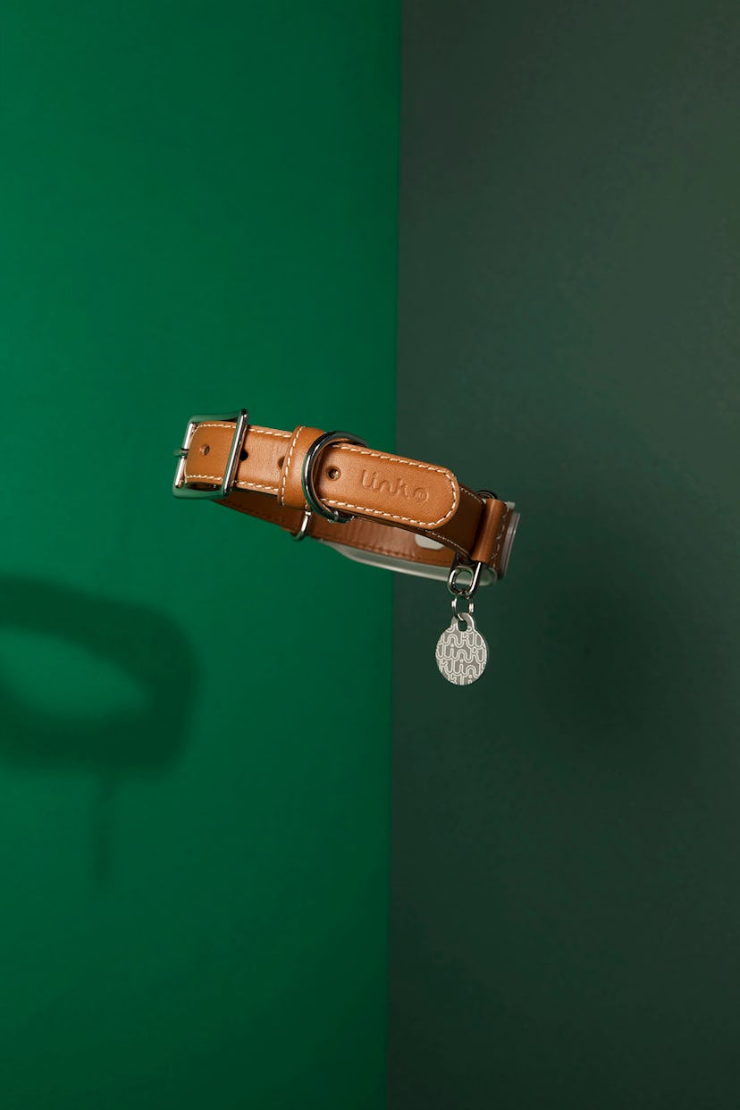 Link AKC Smart Collar