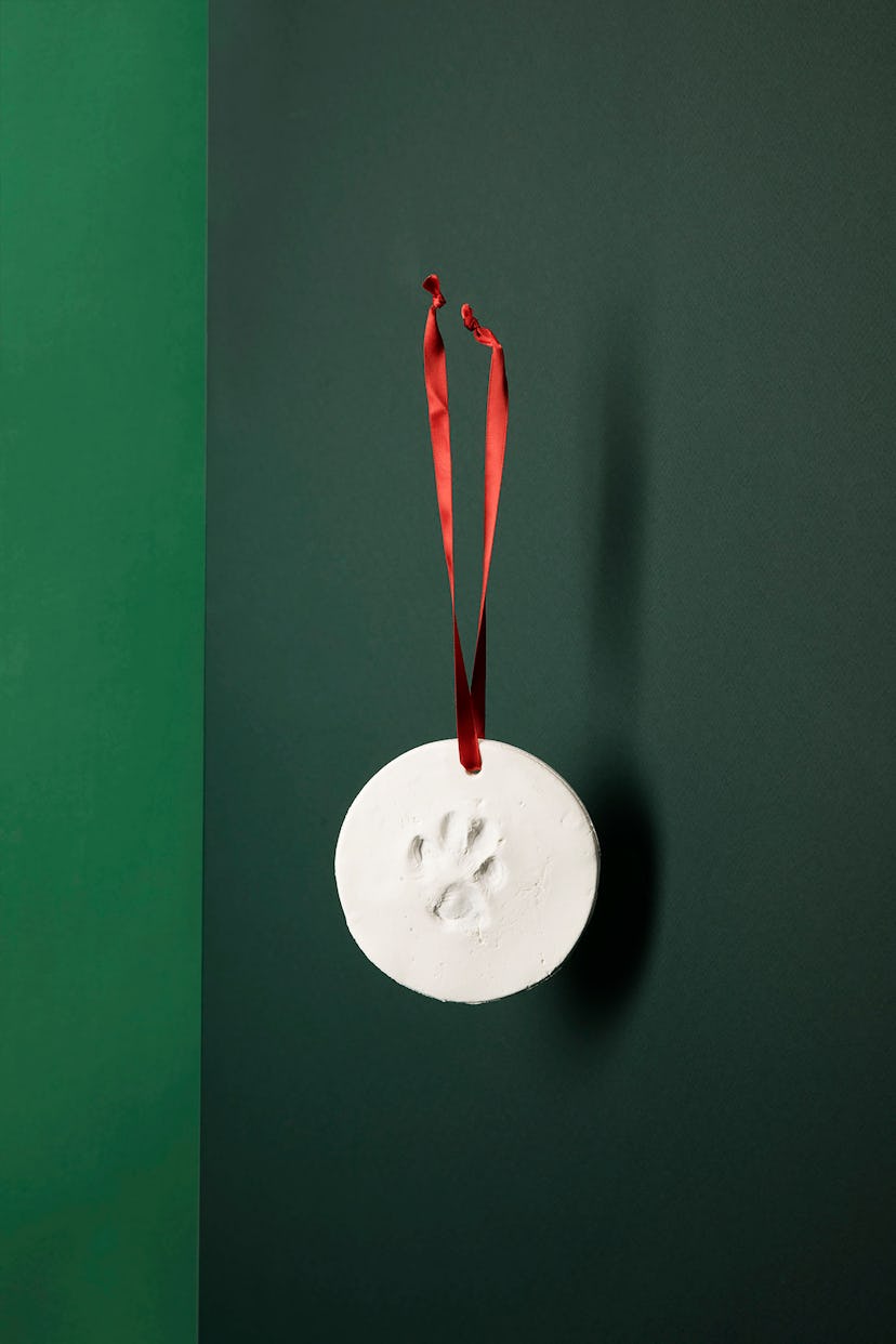 Pet Impression Ornament Kit