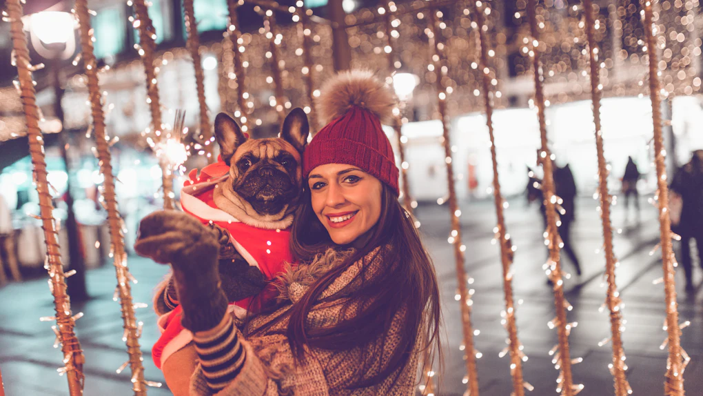 40 Instagram Captions For Rockefeller Center Christmas ...