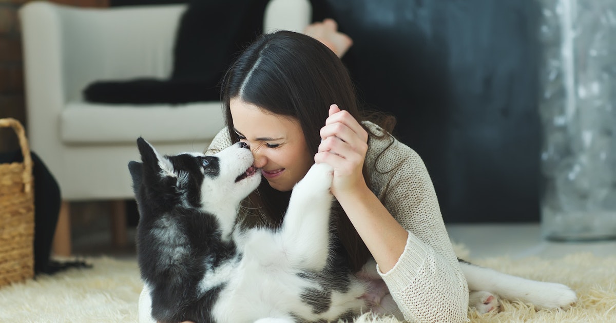 5 Gross Facts You Should Know Before Letting A Dog Lick
