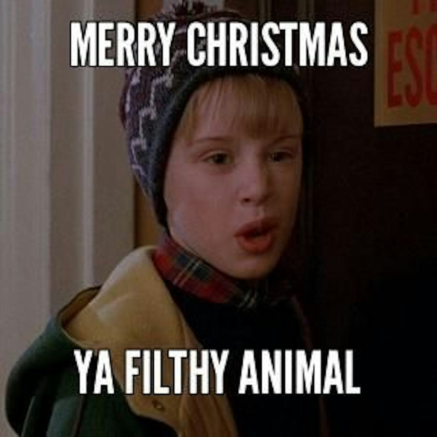 20 Funny Christmas 2017 Memes To Get You Into The Holly, Jolly, Holiday Funny Merry Christmas Meme