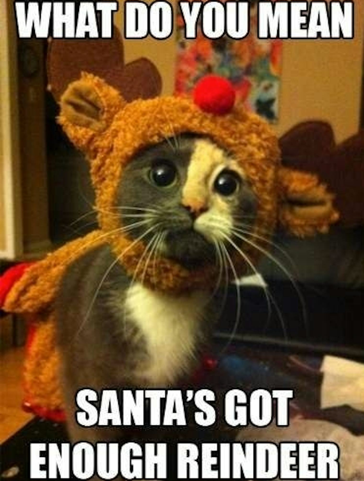 20 Funny Christmas 2017 Memes To Get You Into The Holly, Jolly, Holiday Merry Christmas Funny