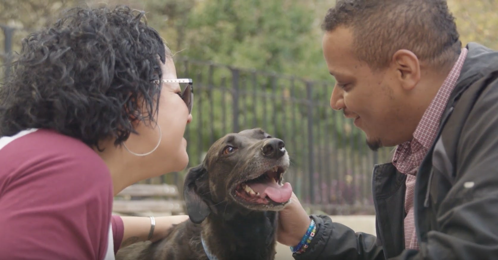 This Story Of A Dog That "Knew" His Owner Was Pregnant Before She Did