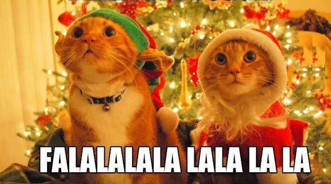 24 Hilarious Christmas Memes To Post During The Holidays