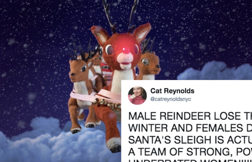 This Theory About Santas Reindeer All Being Women Actually