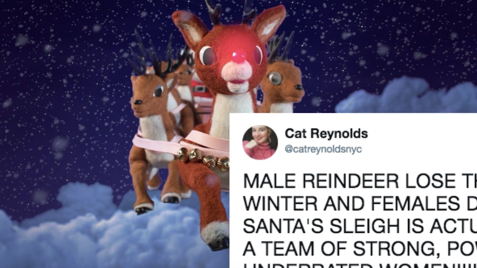 Rudolph the red nosed reindeer pulling santas sleigh