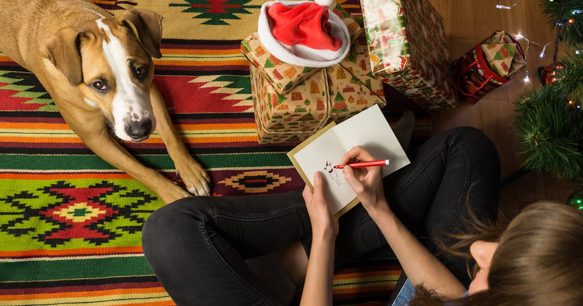 20 Funny Christmas 2017 Memes To Get You Into The Holly Jolly Holiday Spirit