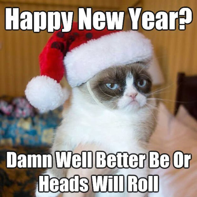 A meme with a cat wearing a Santa cap and "Happy New Year? Damn Well Better Be Or Heads Will Roll" t...