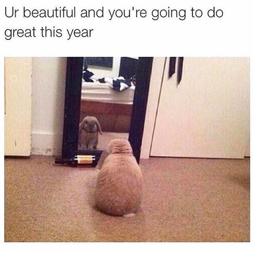 A meme with a dog standing in a room next to a window and "Ur beautiful and you're going to do great...