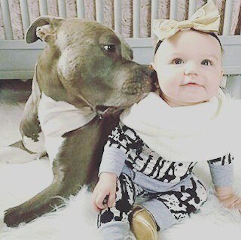 A dog kissing a baby