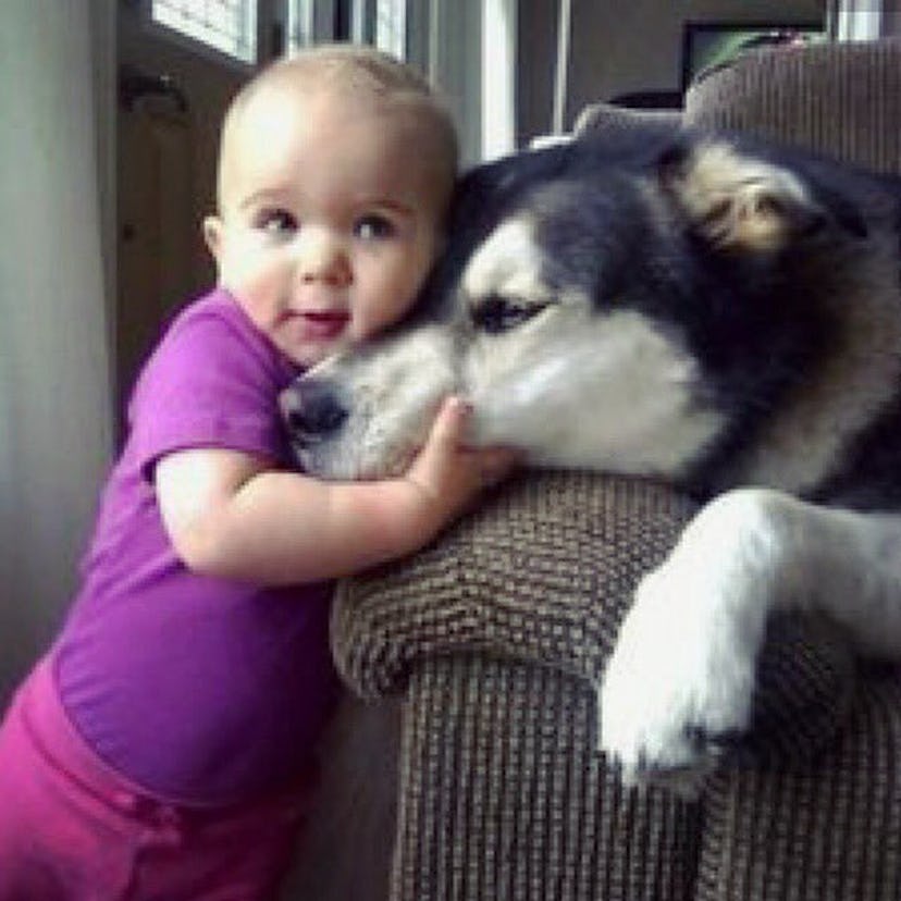 A baby hugging a dog