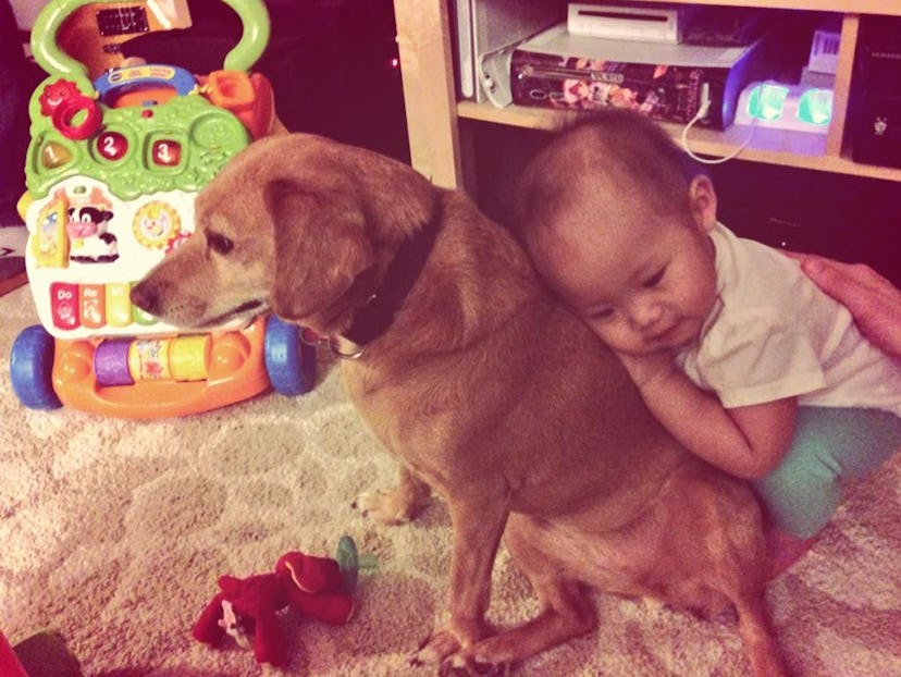 A baby leaned against a back of a dog 