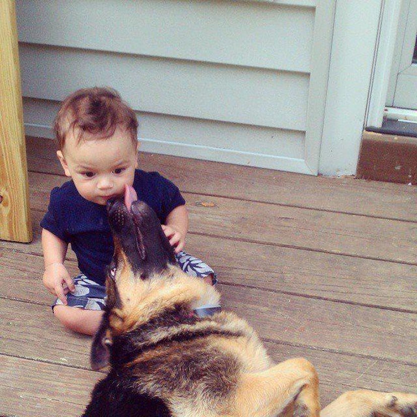 A baby cuddling a shepherd dog