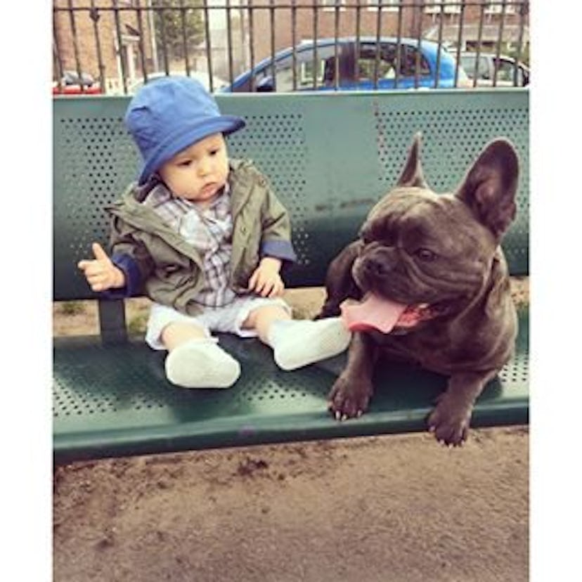 A baby sitting on a bench next to a brown puppy 