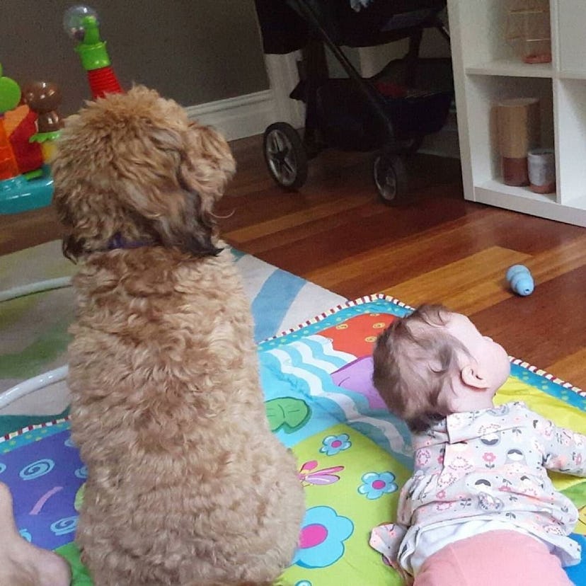 A baby and a puppy on a colorful carpet