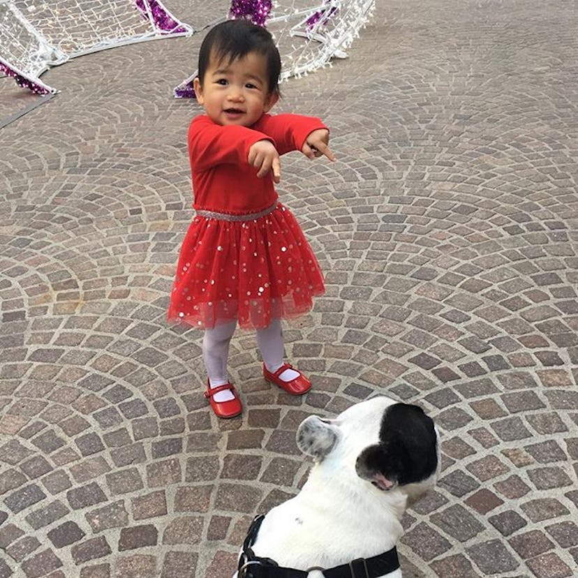 A baby girl and a white dog on a street 