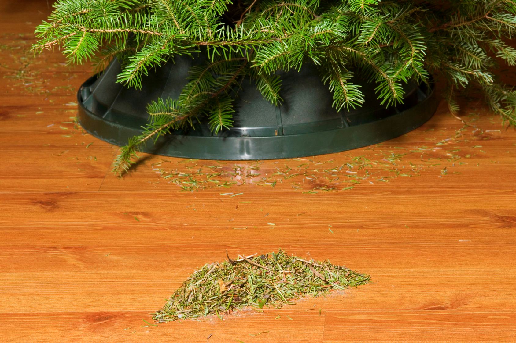 When Should You Actually Throw Away Your Christmas Tree? There's