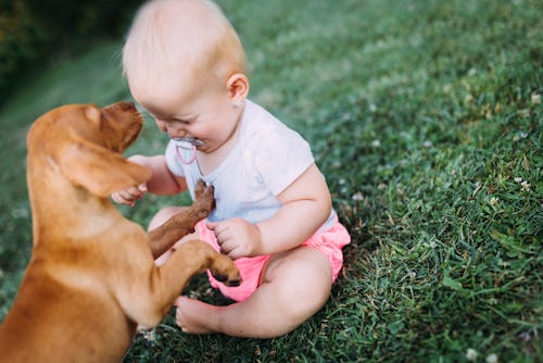 A baby playing with a puppy on the grass