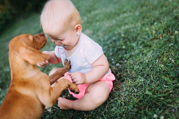 A baby playing with a puppy on the grass