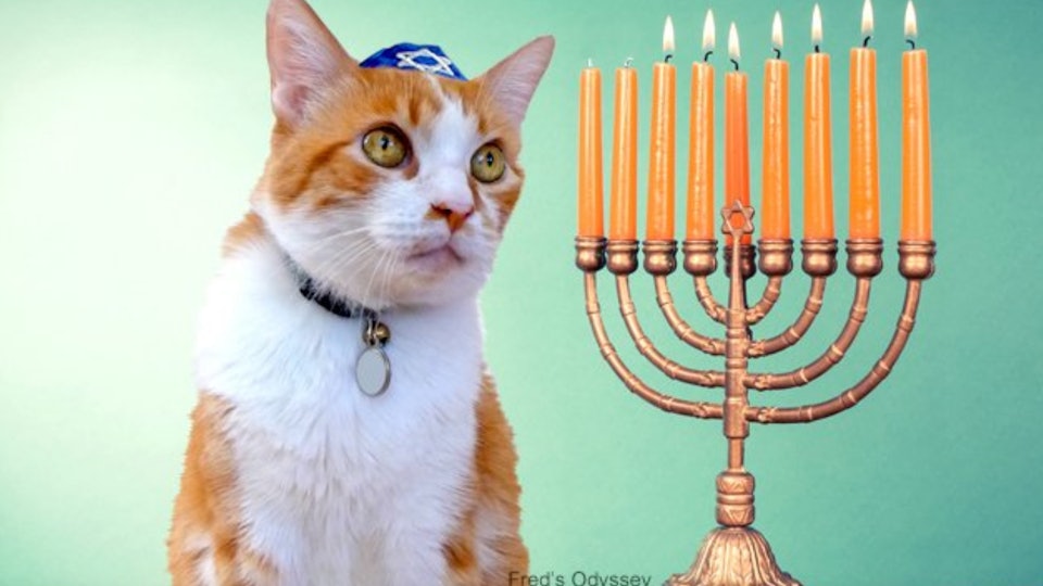 9 Funny Hanukkah Memes To Kick Off Your Celebration Right