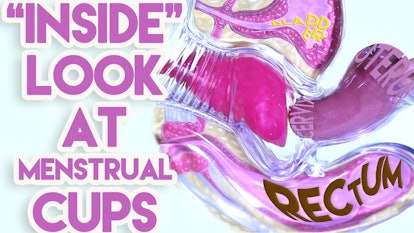 'Inside look at menstrual cups' text and the position of the cup when inserted