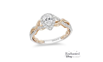 Enchanted 2025 zales collection