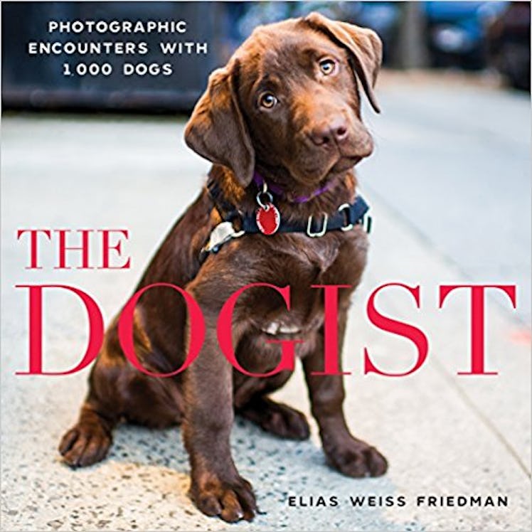The Dogist Coffee Table Book