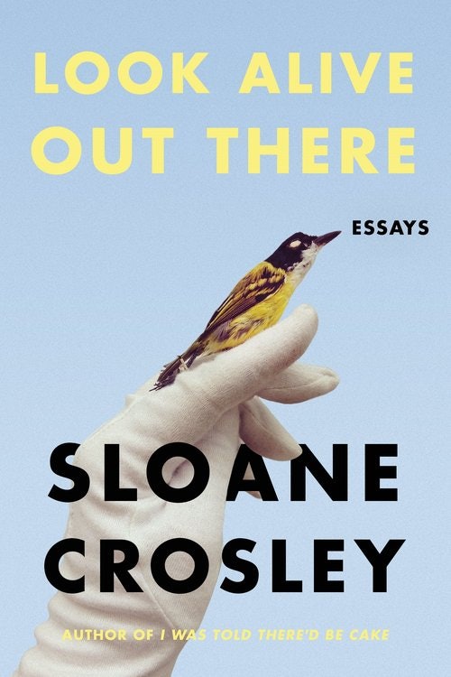look alive out there sloane crosley