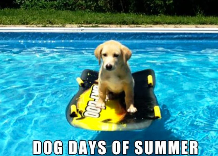 Memes About The First Day Of Summer, Because There's No Turning Back