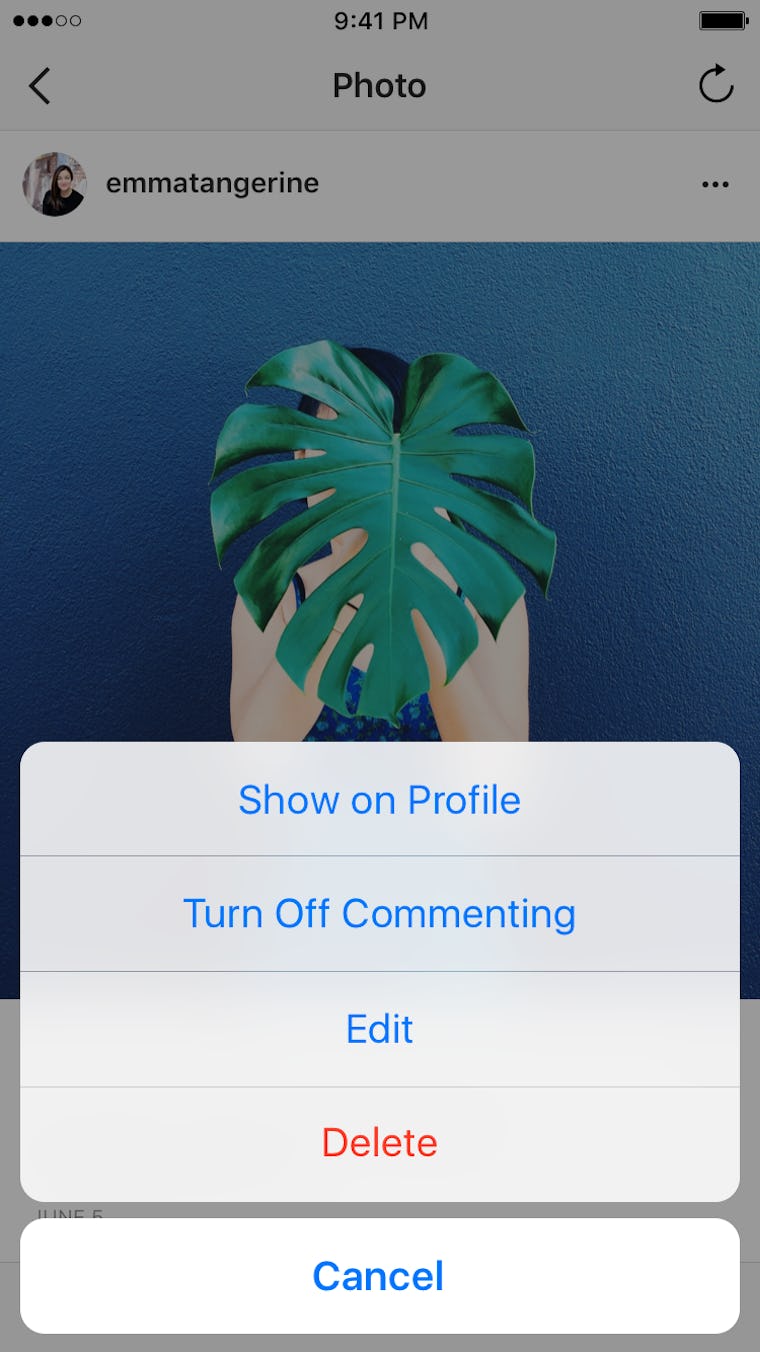 Can You See Someone Else's Archive On Instagram? The New Feature Offers