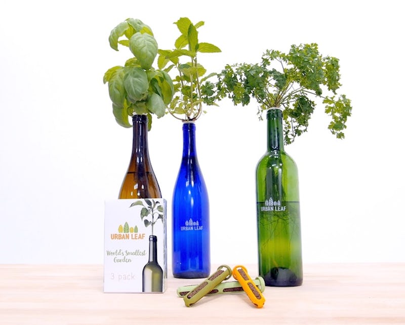 Grow Your Own Herbs In Wine Bottles Using The Affordable World S Smallest Garden Kit