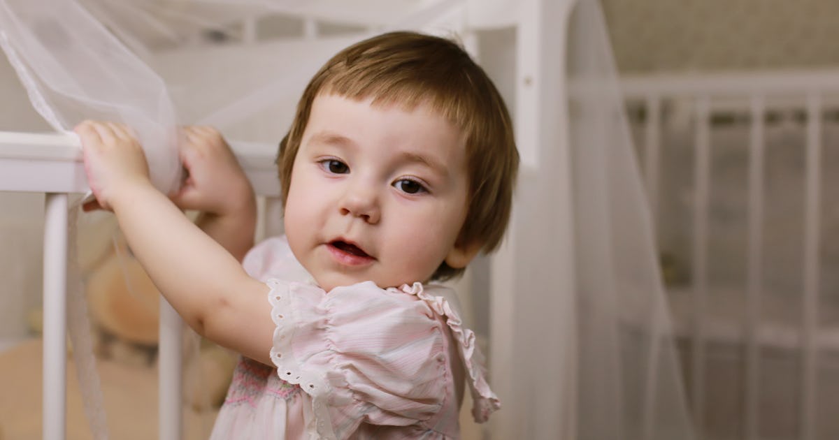 Should You Use An Over The Crib Mesh A Pretty Crib Isn T Most Important Should You Use An Over The Crib Mesh A Pretty Crib Isn T Most Important