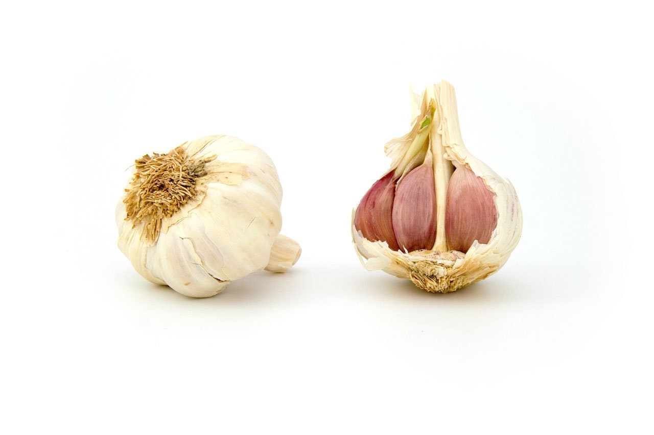 My Vagina Smells Like Garlic